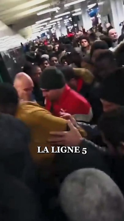 DÉBAT | 100 HUMAINS VS 1 GORILLE