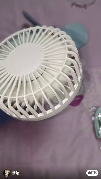 Mini Fan