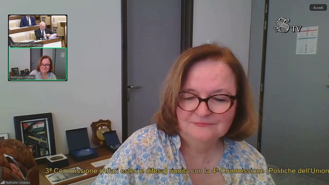 Roma -Ingerenze straniere nei processi democratici degli Stati membri dell’Unione europea e nei Paesi candidati (29.04.25)