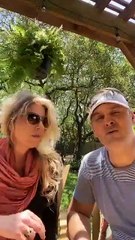 💔➡️✨ "Forgiveness on Fire: How to Heal When Holding Hurts Feels Easier 🔥🙏 | Raw & Real Take 2"