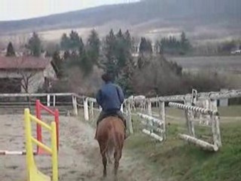 vidéo de ma jument