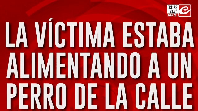 Vecino murió aplastado por un árbol: ya había denunciado el riesgo de caída