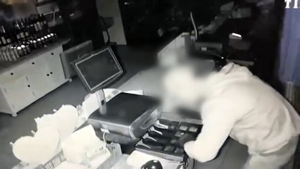Farm shop burglary caught on CCTV