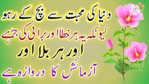 Duniya Muhabbat Quotes In Urdu💯! Islamic Quotes In Urdu💥! Best Urdu quotes🔥! ISLAMIC URDU MEWAT