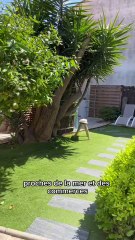 Gîtes de l’Abri-côtier