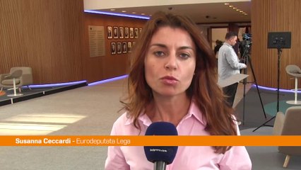 Ucraina, Ceccardi "Ue si sieda al tavolo per trovare la pace"