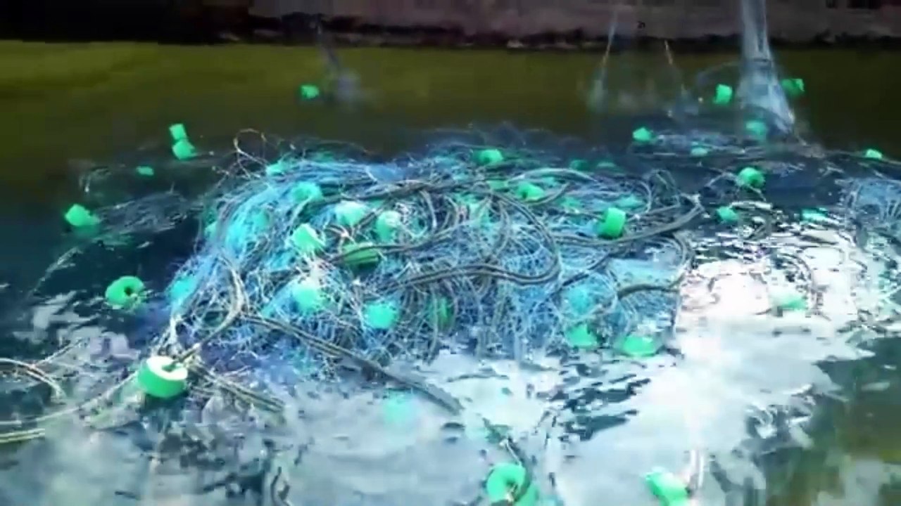 438 Days Lost At Sea