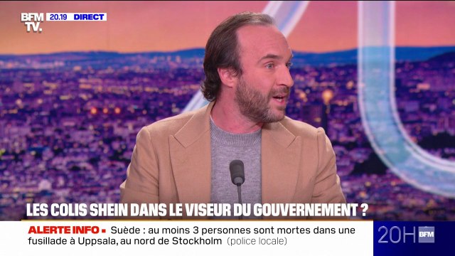 LE DOSSIER DU 20H - Petits colis chinois : Temu et Shein dans le viseur du gouvernement
