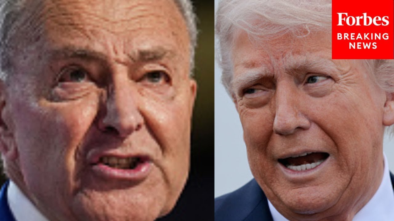 '100 Days From Hell': Chuck Schumer Issues Brutal Takedown Of Trump After Poor Approval Rating Polls