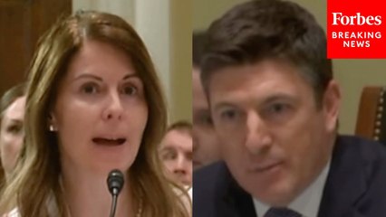 'So There's No Training?': Bryan Steil Is Shocked By Witnesses Explanation Of CA's Election Verification