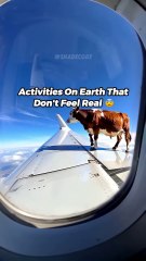 Activities On Earth That Dont Feel Real😨