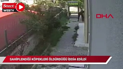 Sahiplendiği köpekleri evde parçalayıp öldürdüğü iddia edilen doktor tutuklandı