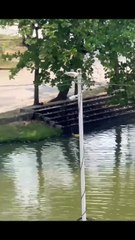 Mujer es salvada de ser devorada por un cocodrilo en Villahermosa, Tabasco