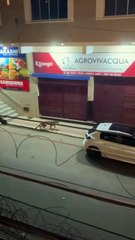 Onça é avistada em avenida comercial de município do Espírito Santo