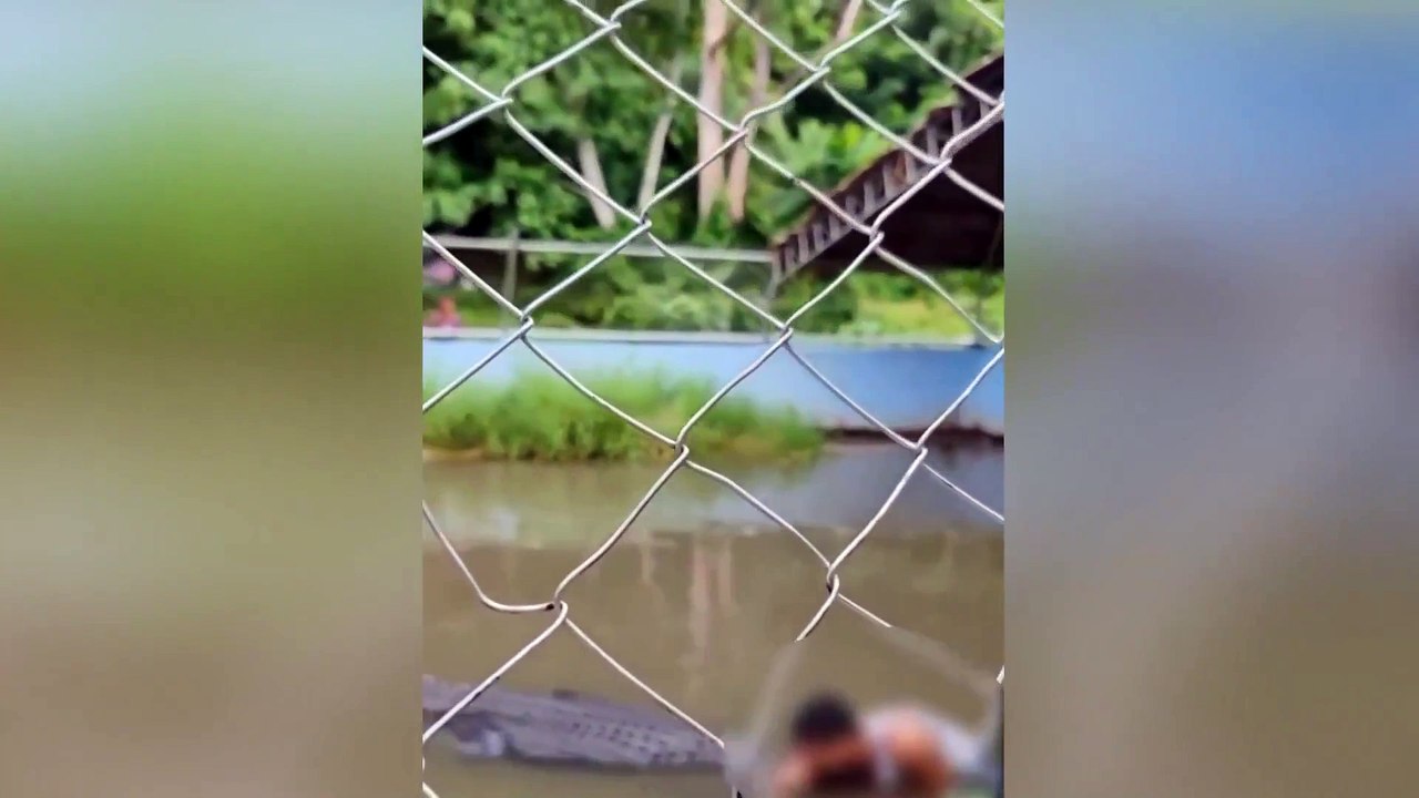 turista y cocodrilo