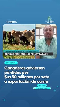 Ganaderos advierten pérdidas por $us 50 millones por veto a exportación de carne