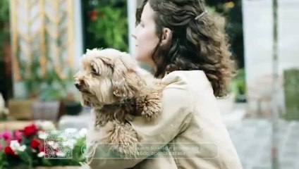 Pets reduzem solidão e promovem a saúde, aponta estudo