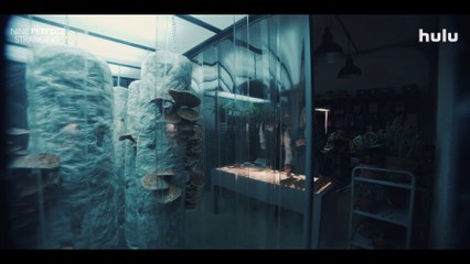 Nine Perfect Strangers Season 2 Trailer