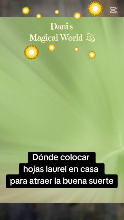 Dónde colocar hojas 🍂 laurel en casa para atraer la buena suerte #Astrología #buenasuerte #atraer #energia