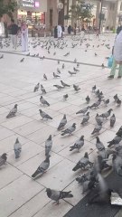 beautiful view of Haram makkah #foryou #beautiful #amazing #toptrendingvideo #viralvideo