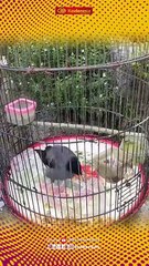 Tips Trick Today, Rabu 30 April 2025