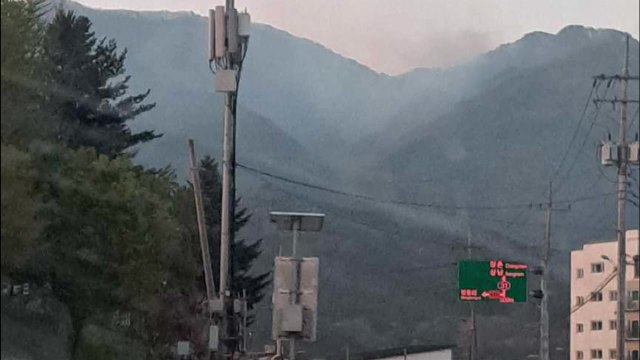 강원 인제 산불 '뒷불' 발생...주불 진화 완료 / YTN