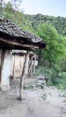 ssstik.io_@imdadtakwar_1745983670394