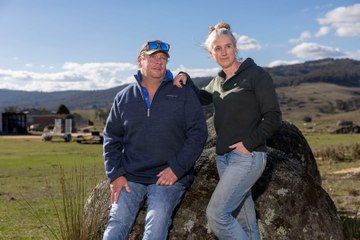 Farmers devastated by wild dog attacks