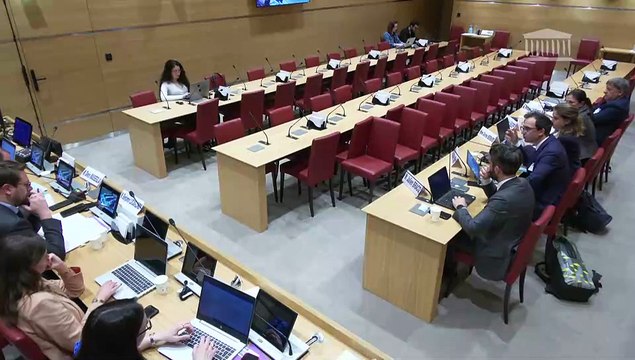 Défaillances des pouvoirs publics face aux plans de licenciements : Représentants du Comité interministériel de restructuration industrielle (Ciri) et de la Délégation interministérielle aux restructurations d’entreprises (Dire) - Mardi 29 avril 2025