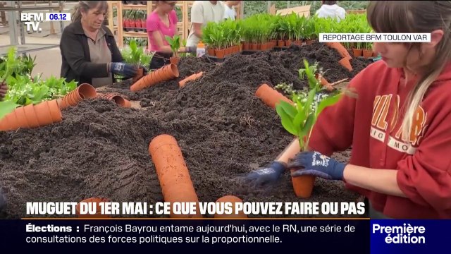 Muguet du 1er mai: quelles sont les règles à suivre pour pouvoir en vendre?