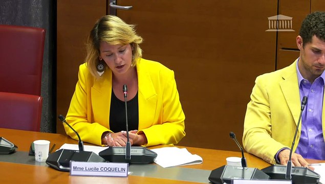 Effets psychologiques de TikTok sur les mineurs : Auditions diverses - Mardi 29 avril 2025