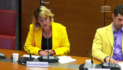 Effets psychologiques de TikTok sur les mineurs : Auditions diverses - Mardi 29 avril 2025