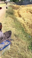 ALLAH♥️Sabr e Jameel Ata Kry🥺🤲🏼💯#پنڈاں_والے #farming #trending #pindawale