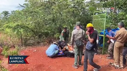 Konflik Hewan-Manusia, Gubernur Lampung Tindak Perambah TNBBS