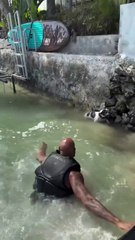 Le rappeur Booba sauve un chien de la noyade