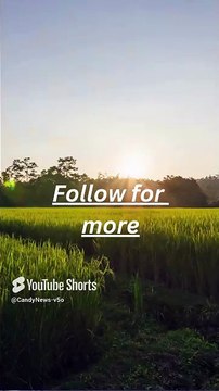 Signs Your Crush Likes You (But Won’t Say It) #CrushFacts #LoveSigns #SecretCrush #TeenLove