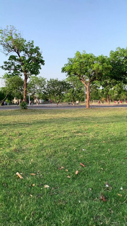 Everything is Green here