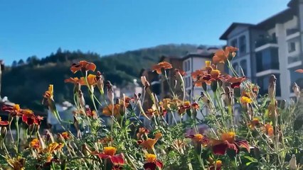 Bakan Kurum: "Vatandaşlarımızın yaşadığı mutluluk görülmeye değer"