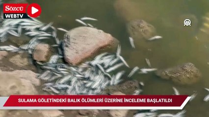 Sulama göletindeki balık ölümleri üzerine inceleme başlatıldı