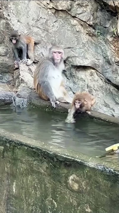 Funy video_20250430_004830