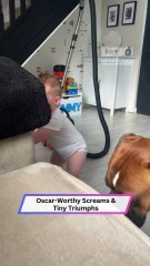 Tiny Hero Breaks Free from Couch Trap—Cutest Victory Ever!