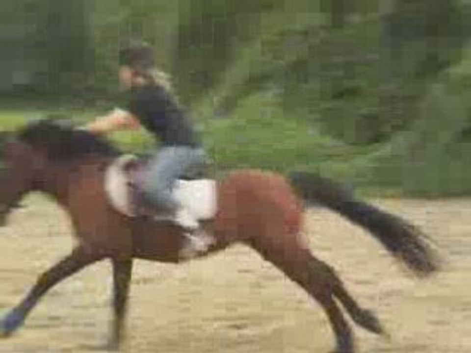 Pony-games