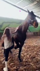 This fecility is only for Beautiful Girls..