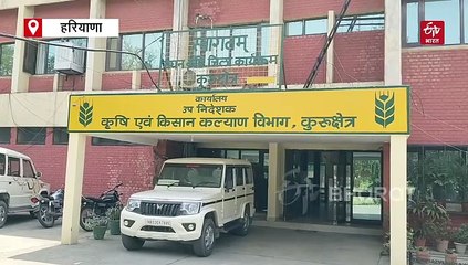 धान की रोपाई में किसान भूलकर भी न करें ये गलती, उत्पादन ज्यादा पाने के लिए पढ़िए एक्सपर्ट की सलाह