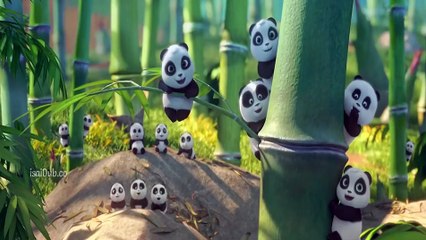 Boonie Bears Blast Into The Past 2019