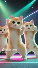 Adorable kitten dance 🐈🐾 #cat #cute #pets #catlover #shortsfeed@sejalgaba02 @CatKitten99