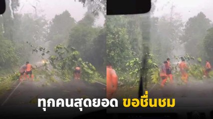 ชื่นชม ! พายุฤดูร้อนพัดต้นไม้ล้มขวางถนน นักท่องเที่ยวยอมเปียกลงมาช่วยย้ายต้นไม้