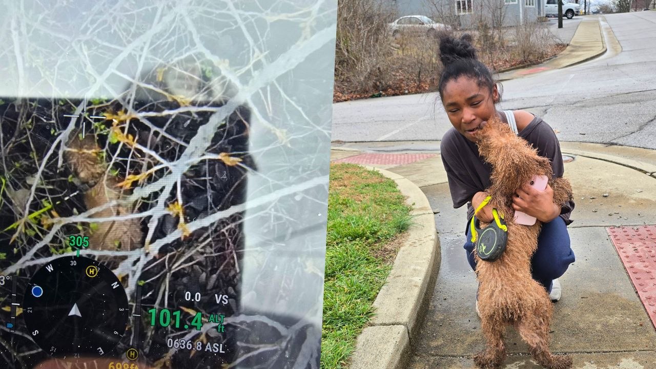 Girl Reunited With Missing Dog After Rescuer Uses Drone To Locate Him | Happily TV