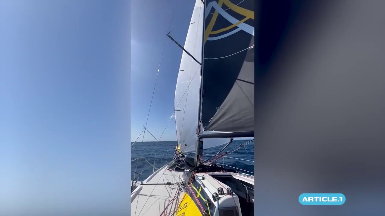 Transat Paprec 2025 : Du drone, des dauphins, du soleil et de la bonne humeur à bord des bateaux en ce 4e jour de course!