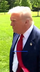 Donald Trump says he wants to be pope